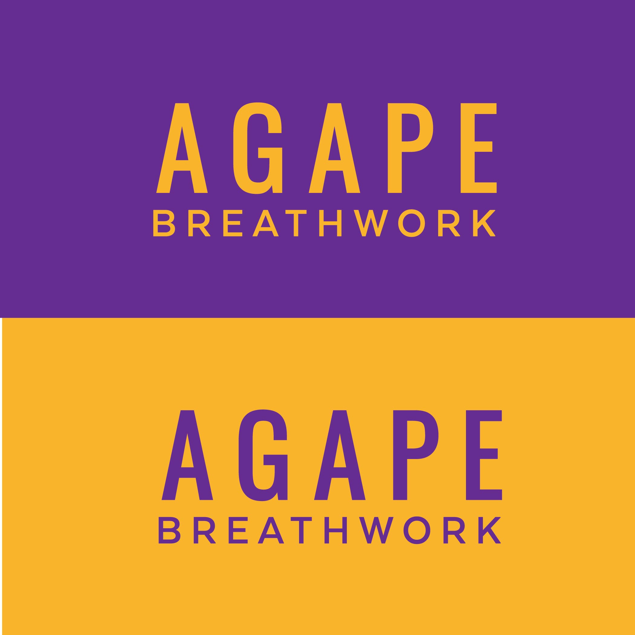 Diseño de Logo por ILLUSTRATOR PRO para este proyecto | Diseño #28305737