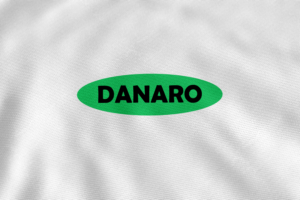 Logo Design by Sanka Arts