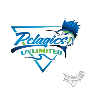 Logo Design by Magic of Art