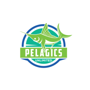 Logo Design by Ansh Design for this project | Design: #28280209