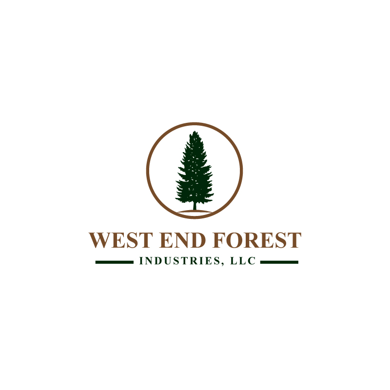 Logo Design by Ansh Design for this project | Design #28285937