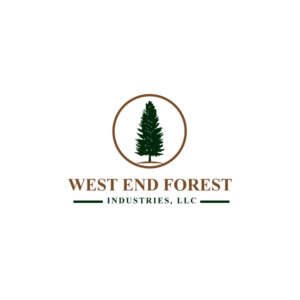 Logo-Design von Ansh Design für dieses Projekt | Design: #28285937