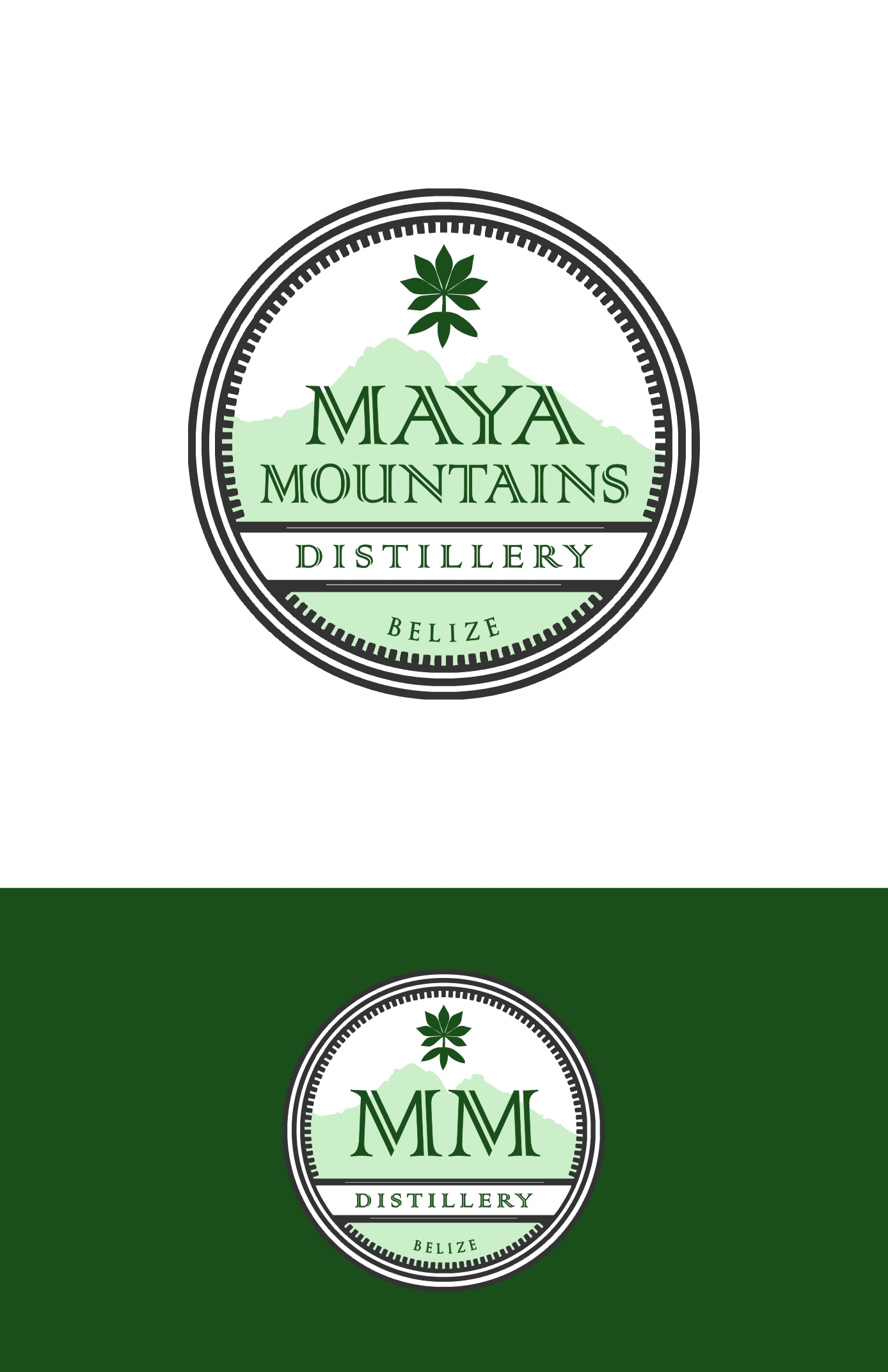 Logo-Design von filip.jelkic für dieses Projekt | Design #28316704
