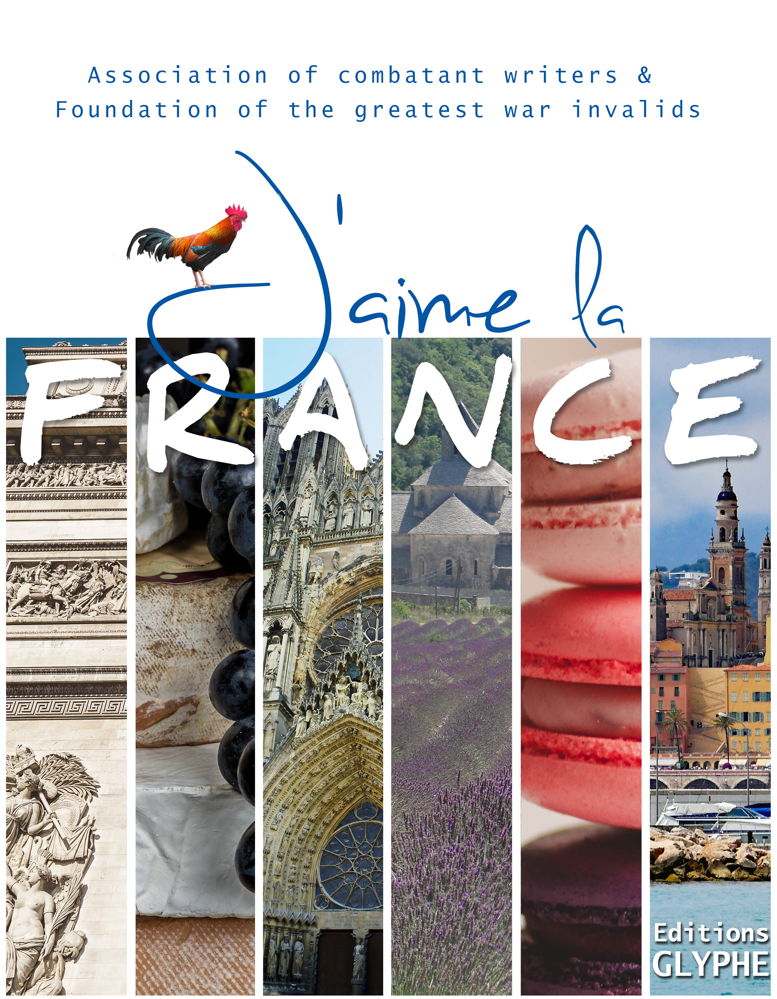 Book Cover Design by ioio for this project | Design #28313434