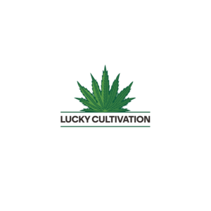 Logo Design by peter