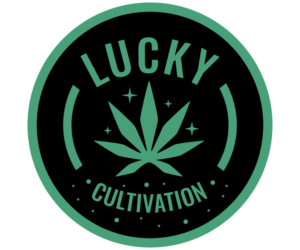 Logo Design by Vectique