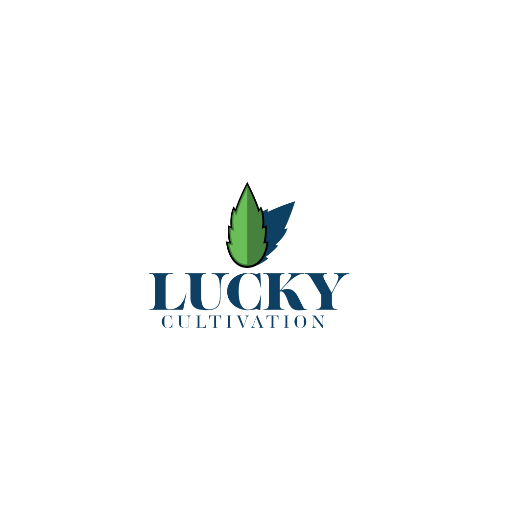 Logo Design by MEDIA GLASS for this project | Design #28288875