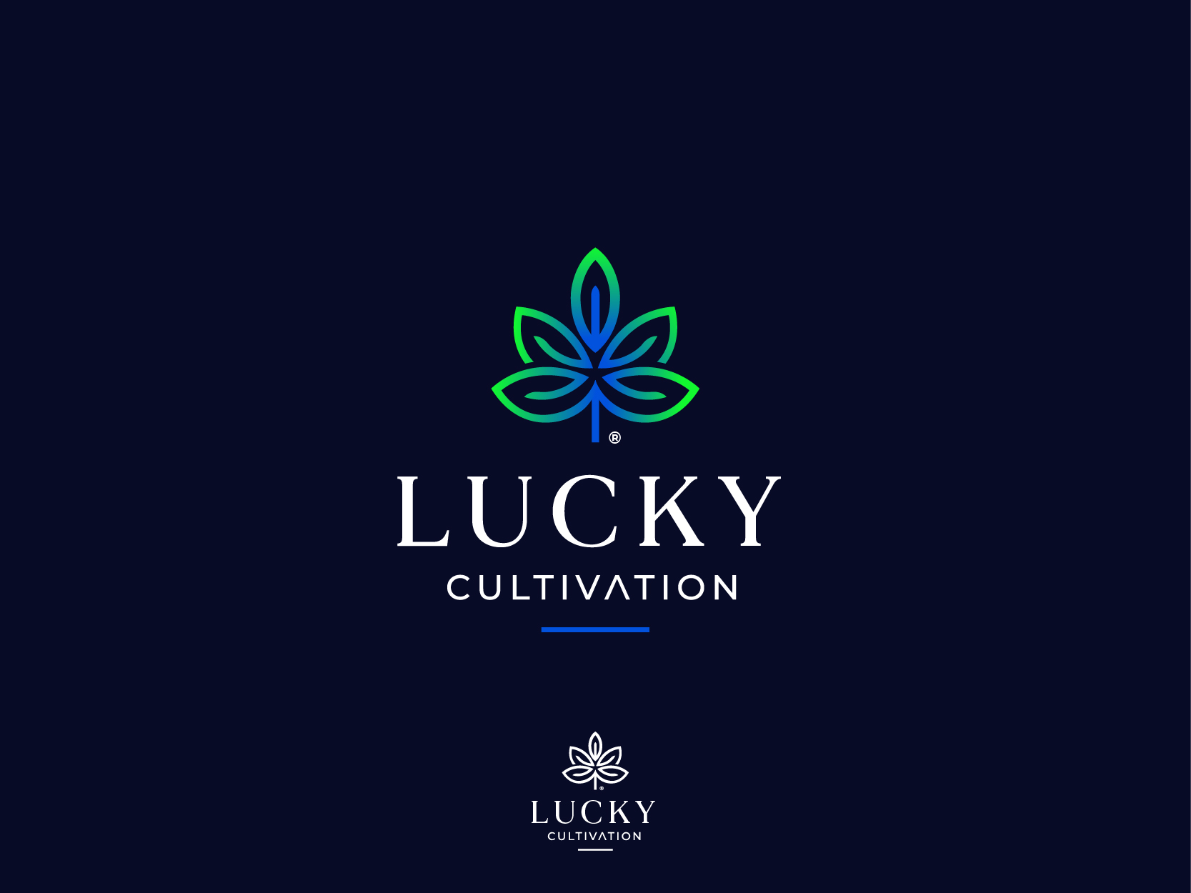 Diseño de Logo por highmaxlogodesigns para este proyecto | Diseño #28291652
