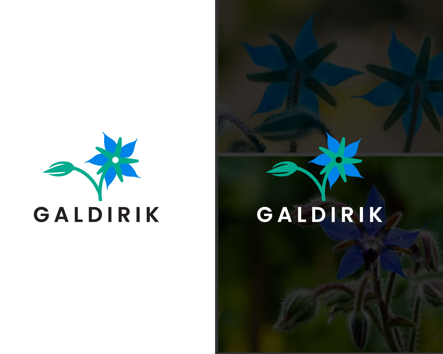 Logo-Design von designbenk für dieses Projekt | Design #28351438