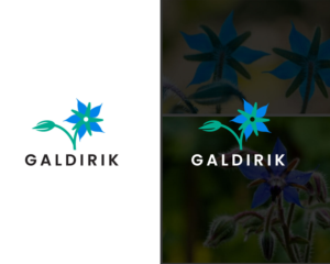 Logo Design by designbenk
