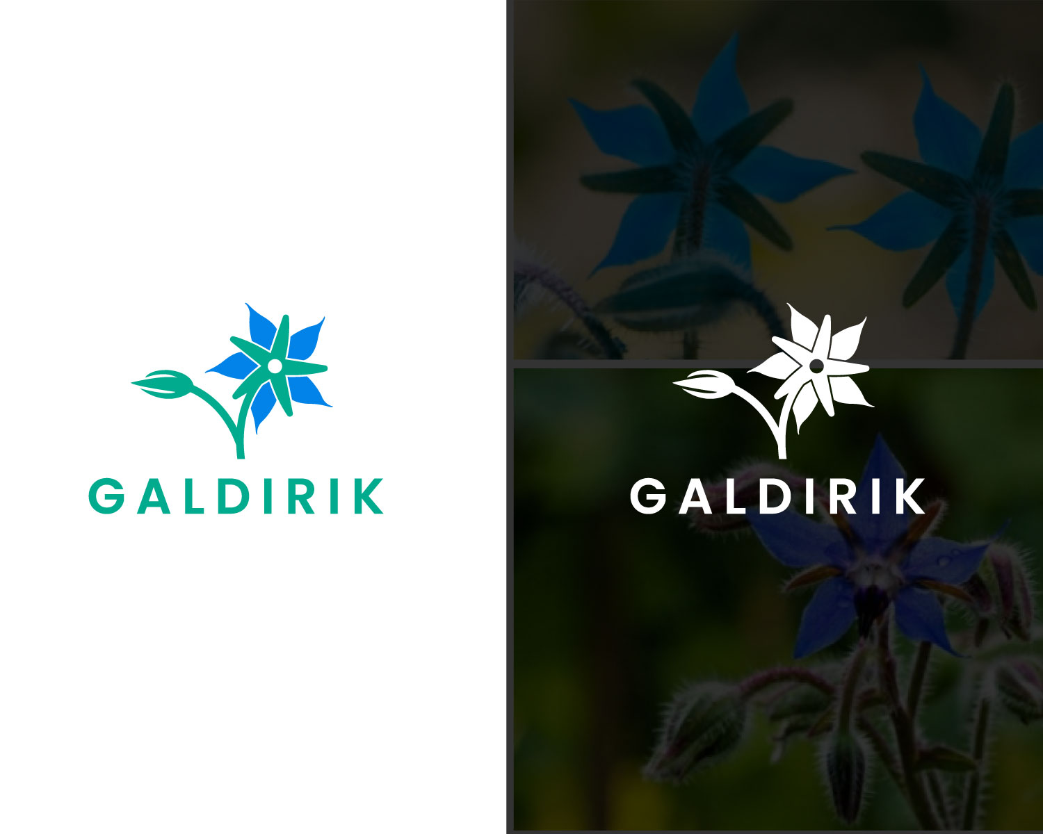 Logo Design by designbenk for this project | Design #28351463