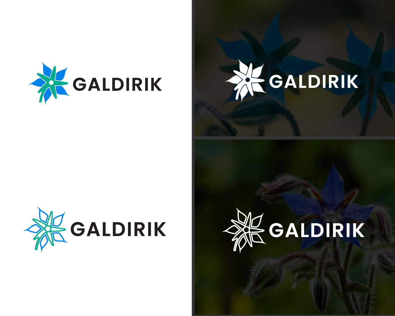 Logo Design by designbenk for this project | Design #28351500