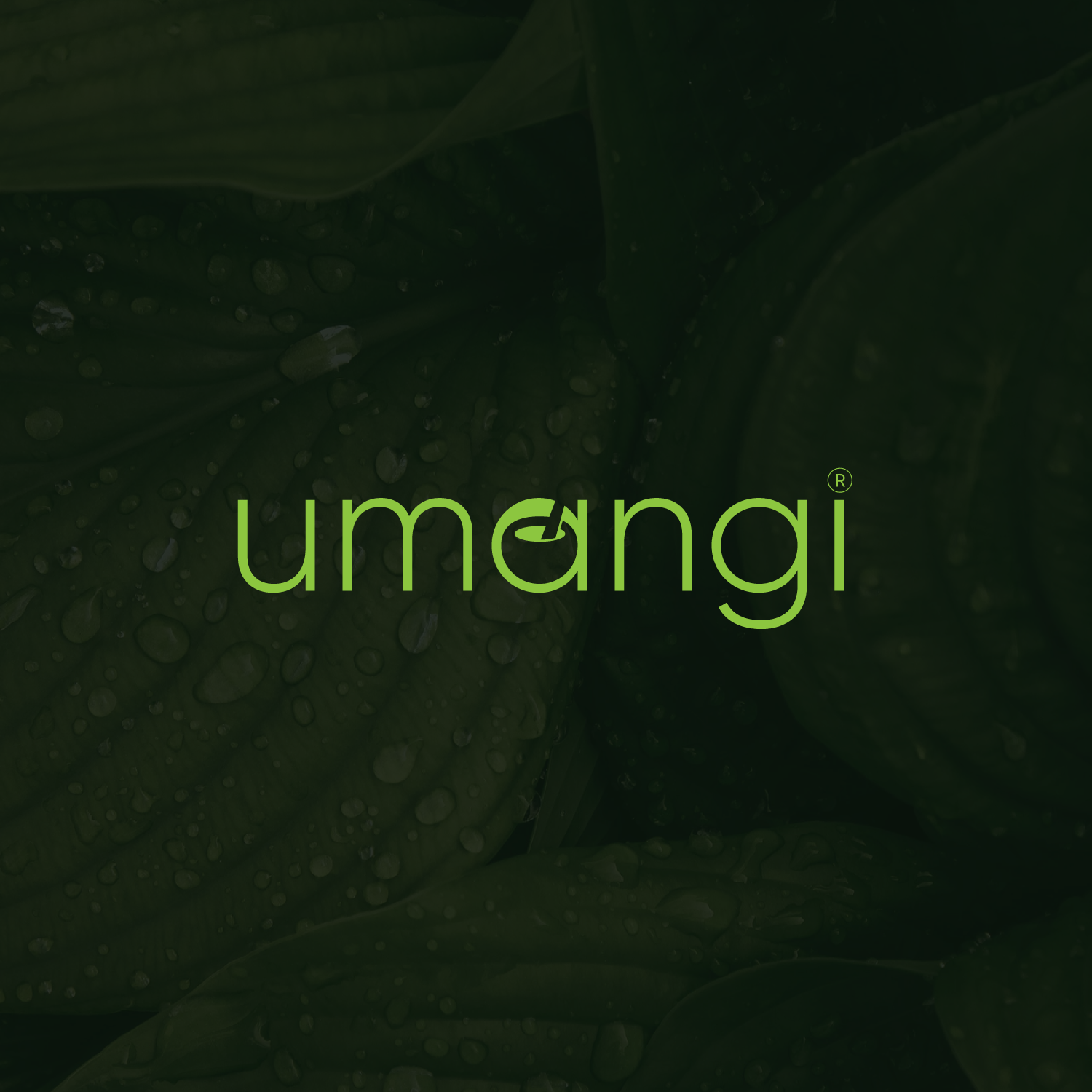 Logo Design by Abdul 20 for this project | Design #28306639