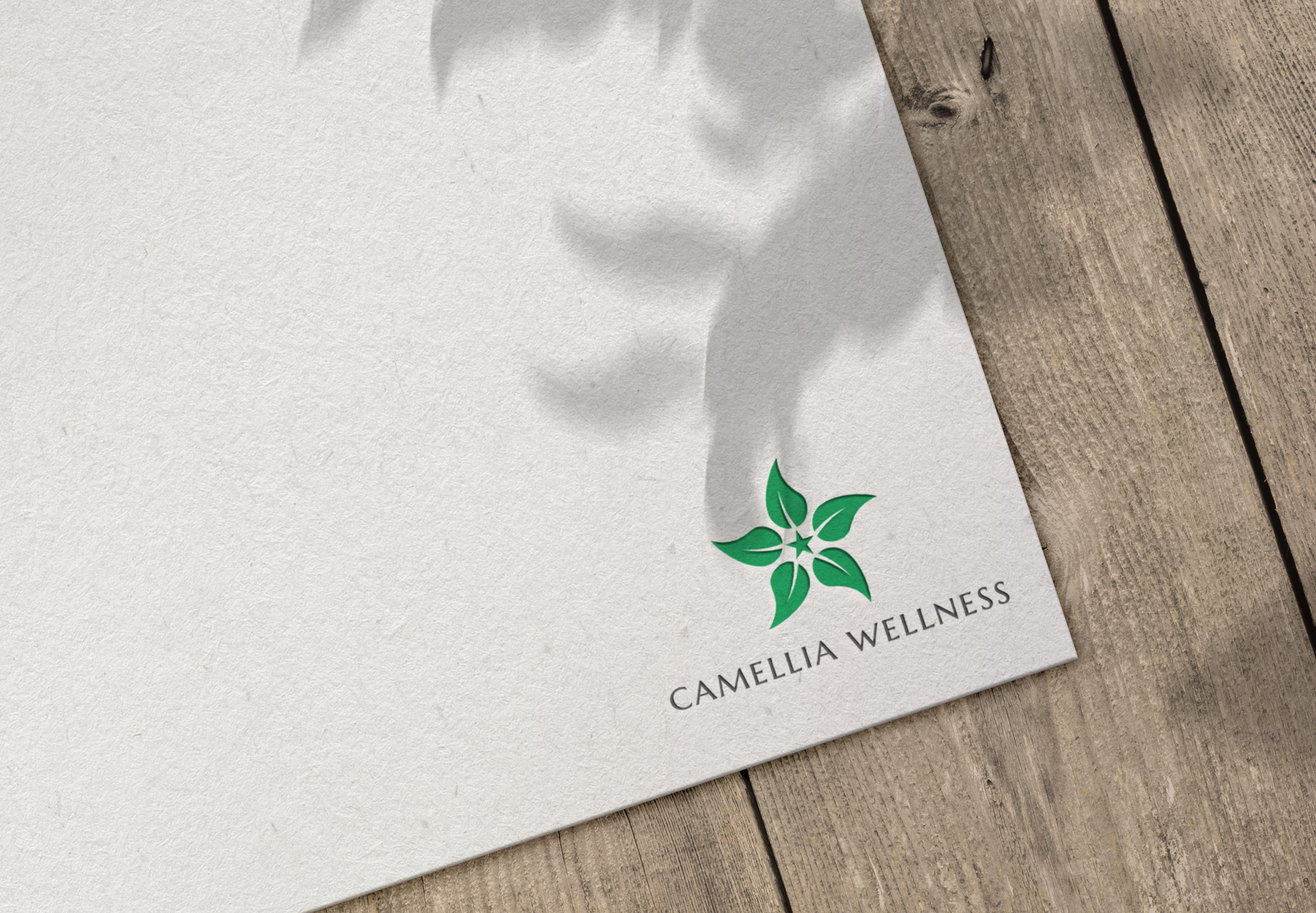 Logo Design by ILLUSTRATOR PRO for this project | Design #28320279