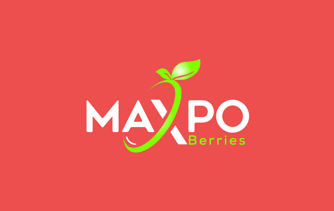 Logo Design by visualicious_dezign for Wenco | Design #28338695