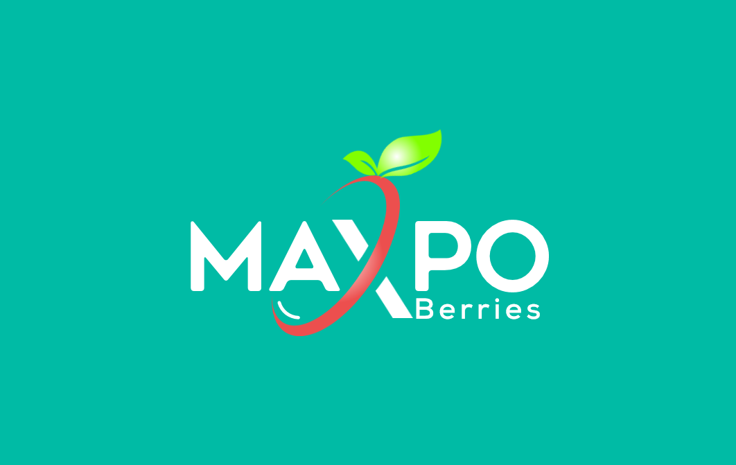 Logo Design by visualicious_dezign for Wenco | Design #28338697