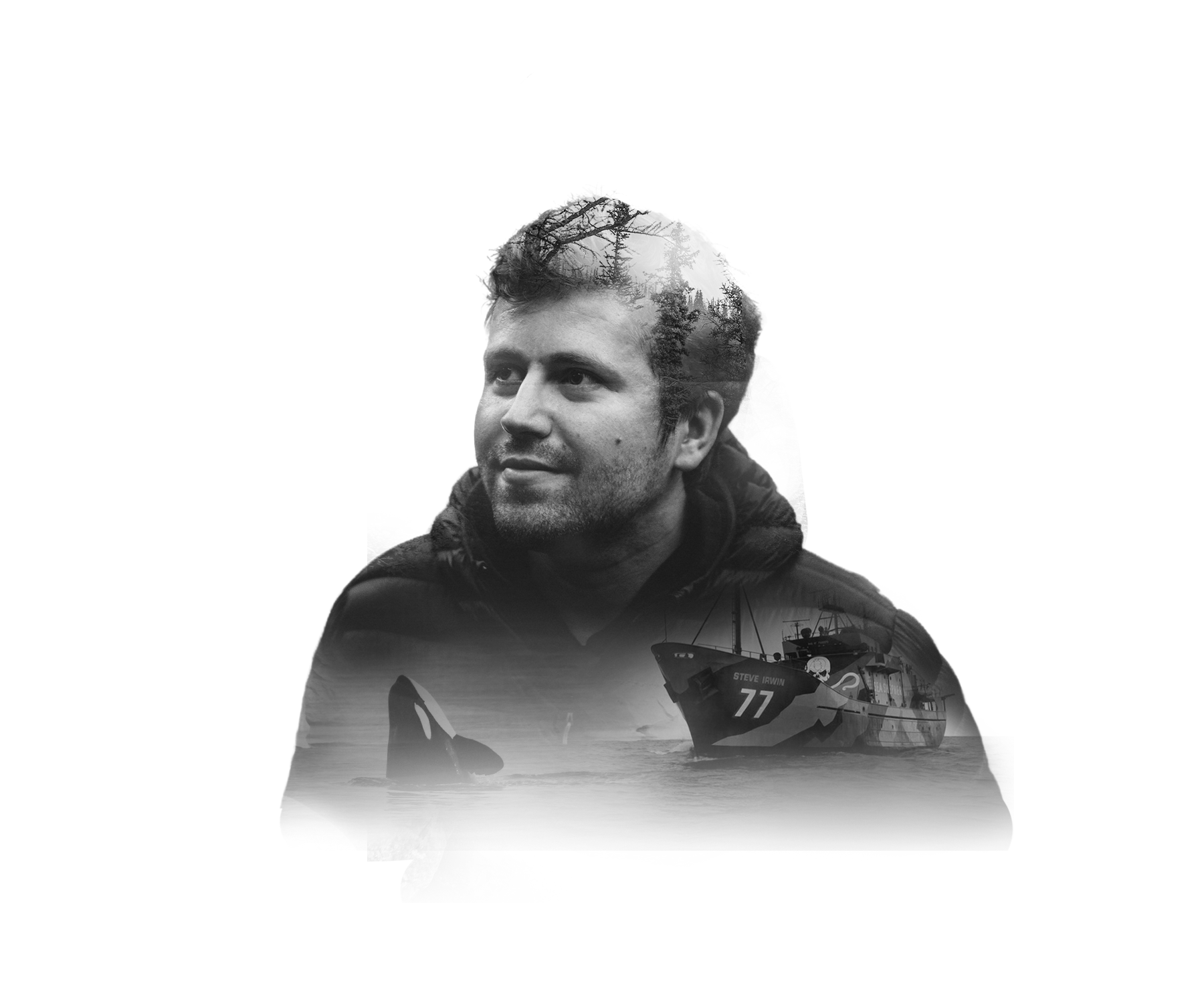 Graphic Design by Fajr. for Framing the Wild | Design #28338881