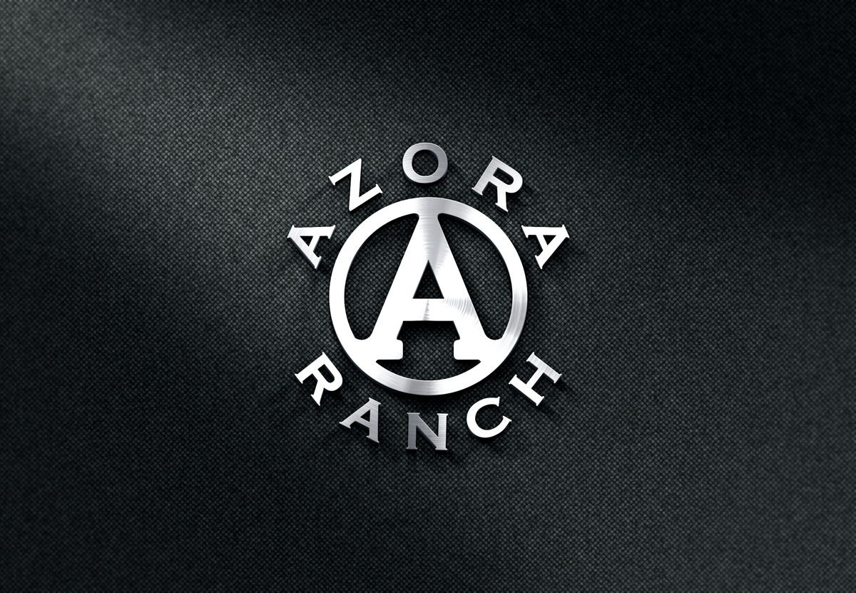 Logo Design by BNdesigner for this project | Design #28309309