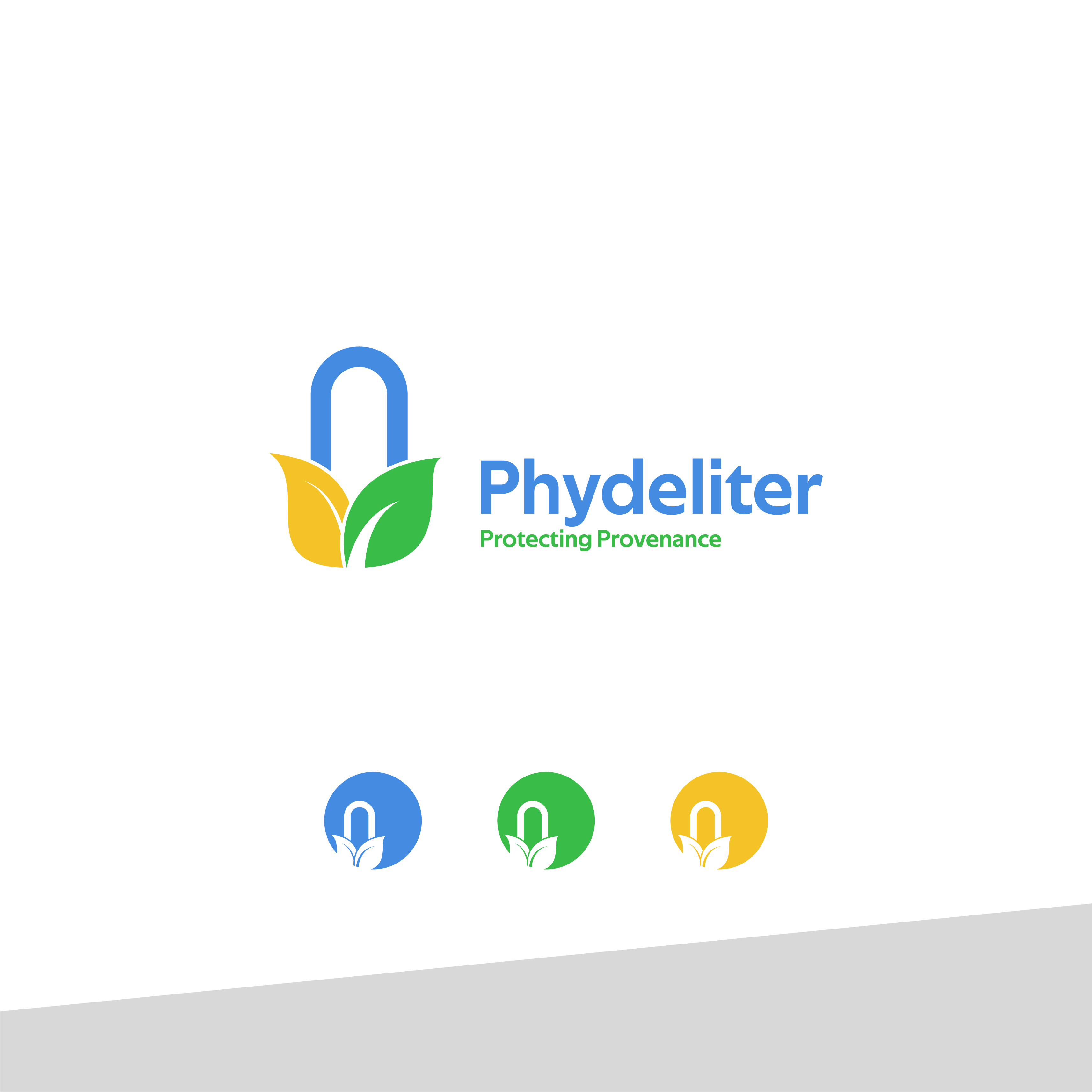 Logo Design by abduh assuyuti for Phydeliter Pty Ltd | Design #28310022