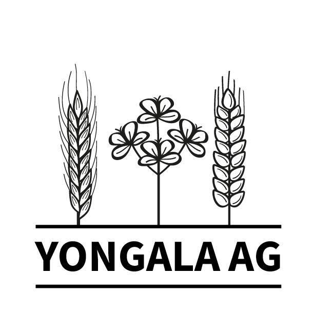 Diseño de Logo por Rerika891 para este proyecto | Diseño #28356217
