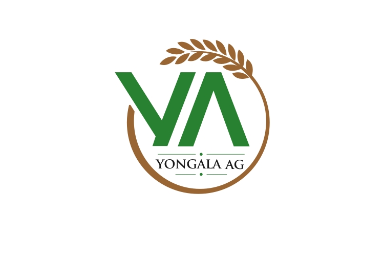 Diseño de Logo por iamrady para este proyecto | Diseño #28365240