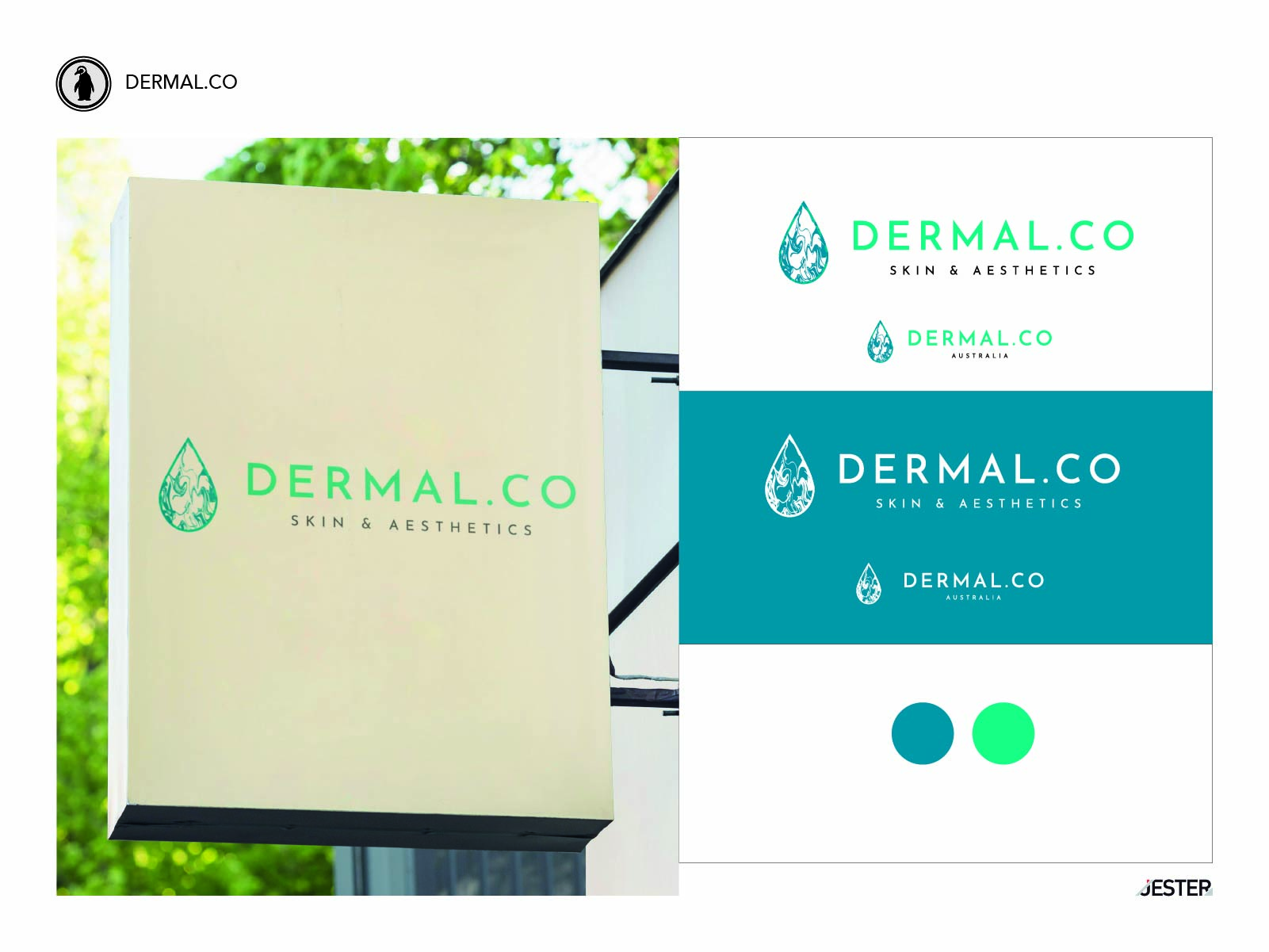 Design de Logo par Jester B pour Dermal.Co | Design #28339409