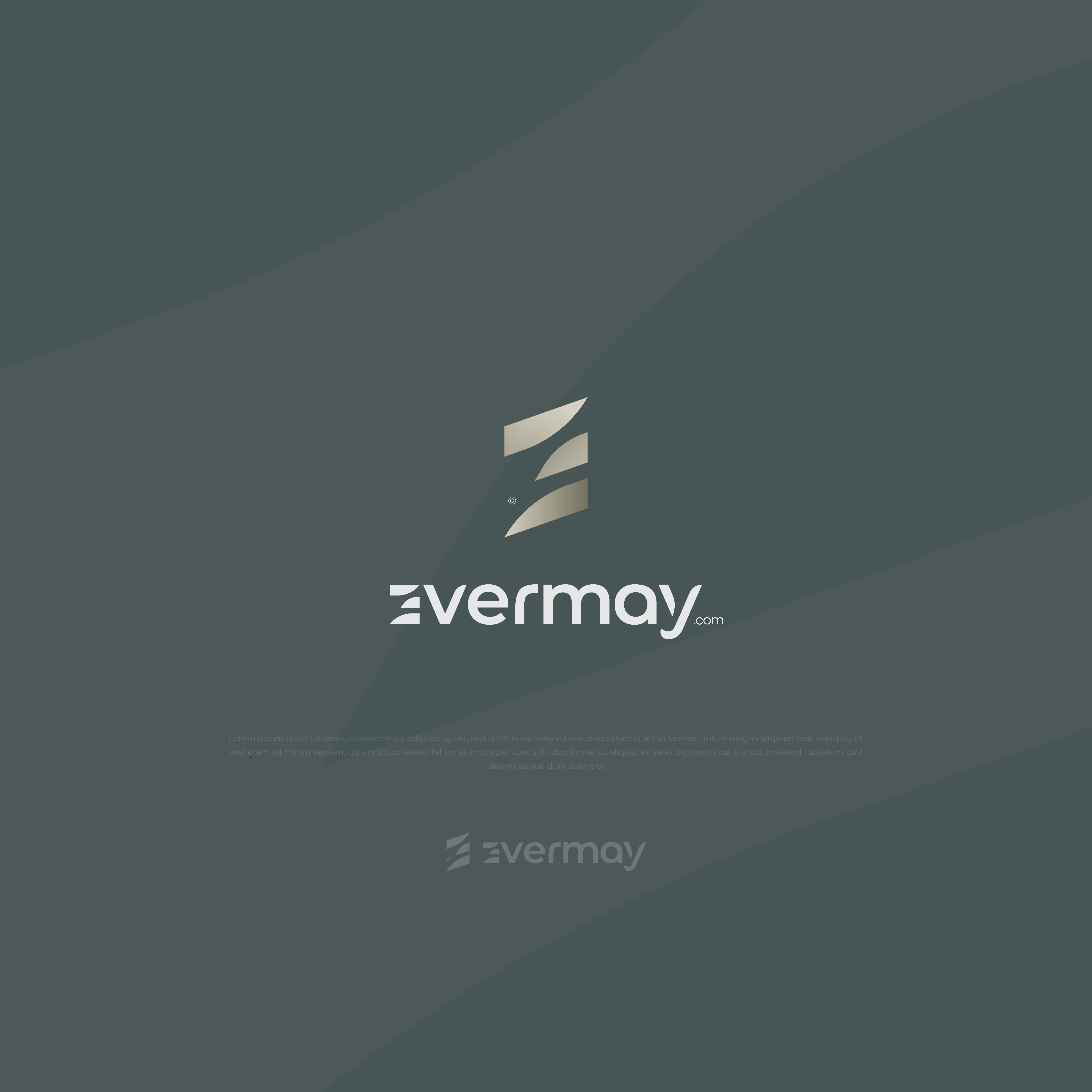 Logo Design by kacimo for Evermay Wealth Management | Design #28516414
