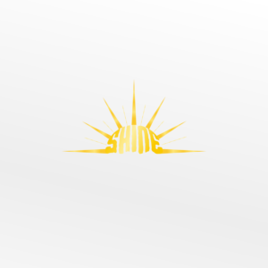 Logo Design by Mihail Lazar for this project | Design: #28323686