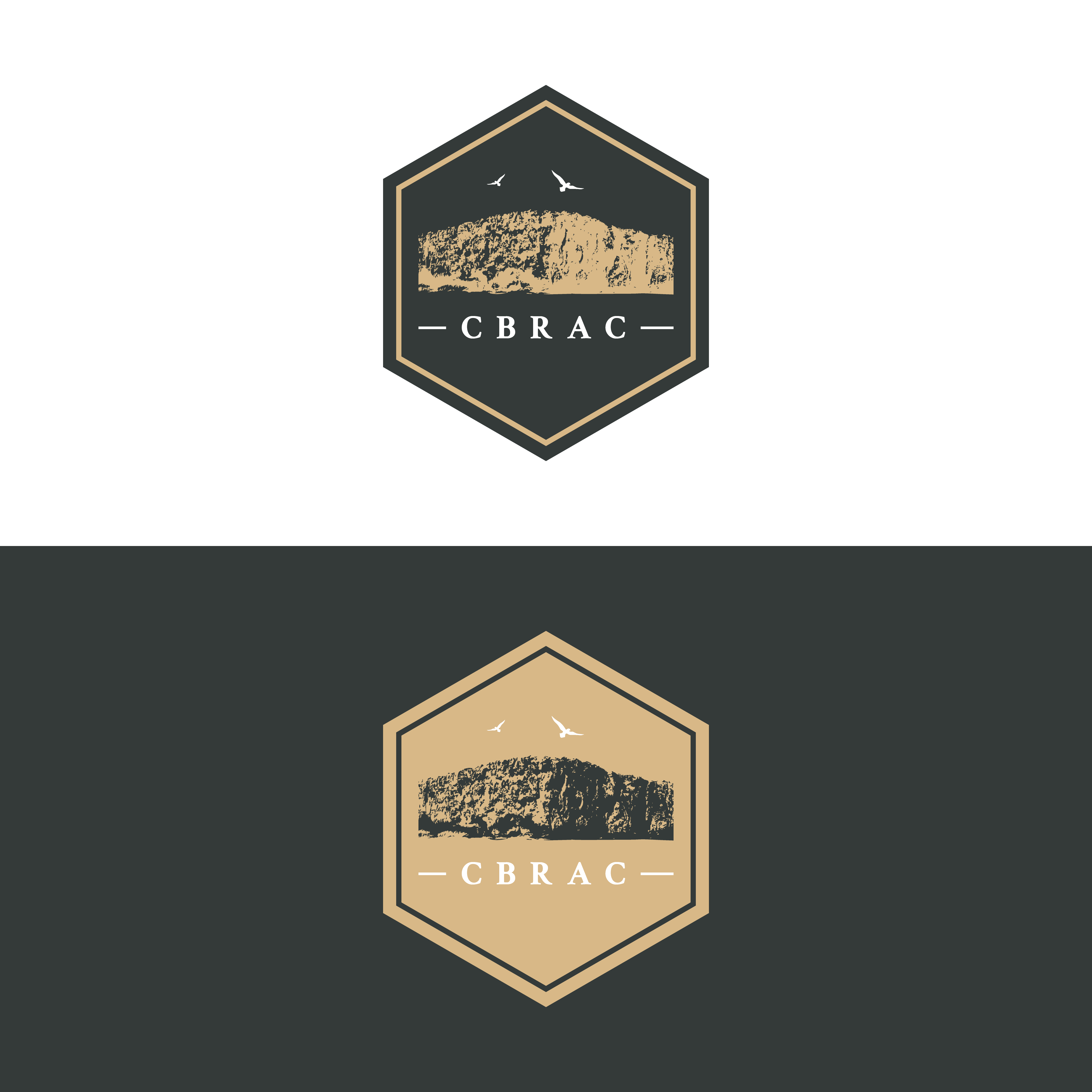 Logo Design by Jburtonux for Cayman Rock Climbing | Design #28337075