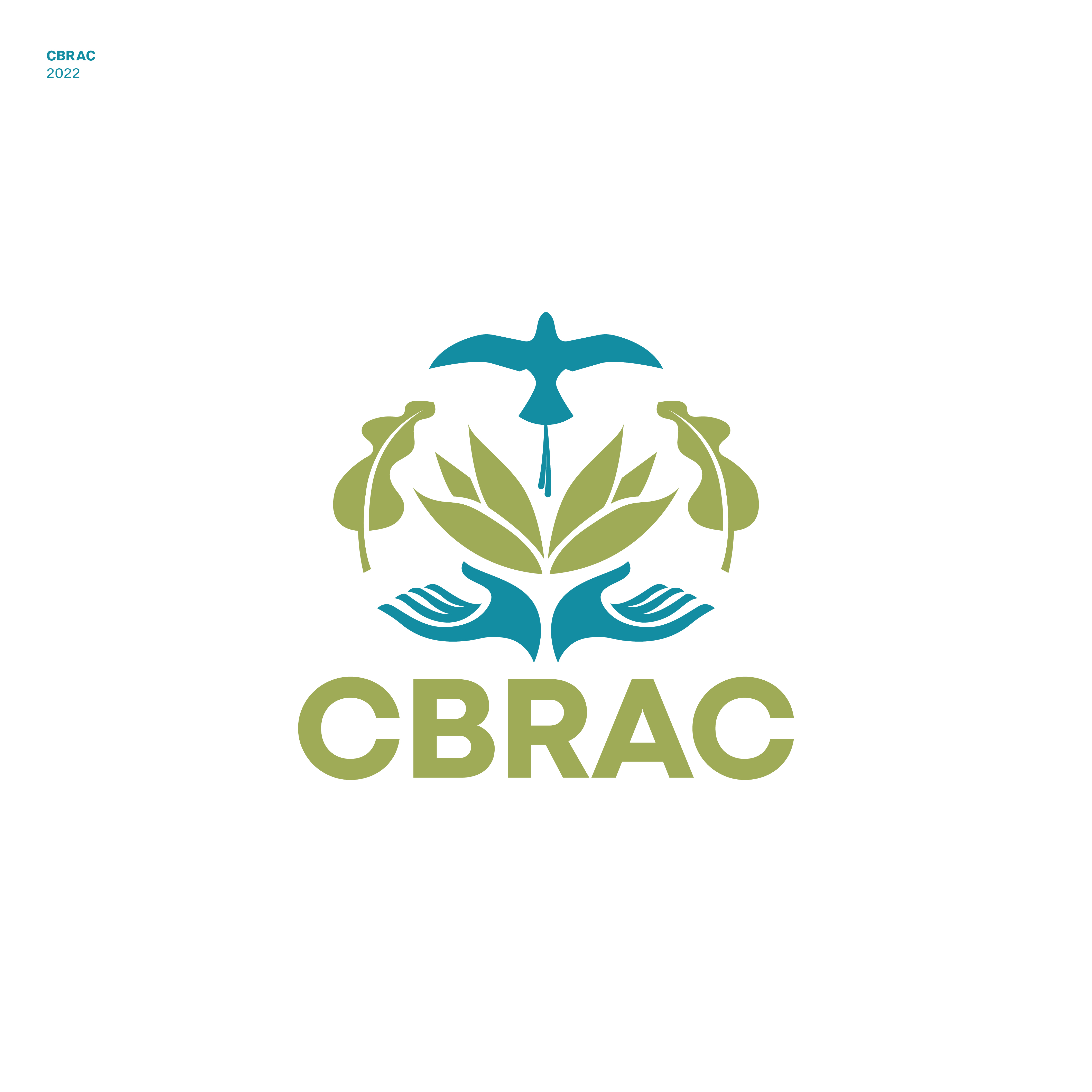 Logo-Design von JBalloon Design für Cayman Rock Climbing | Design #28336960