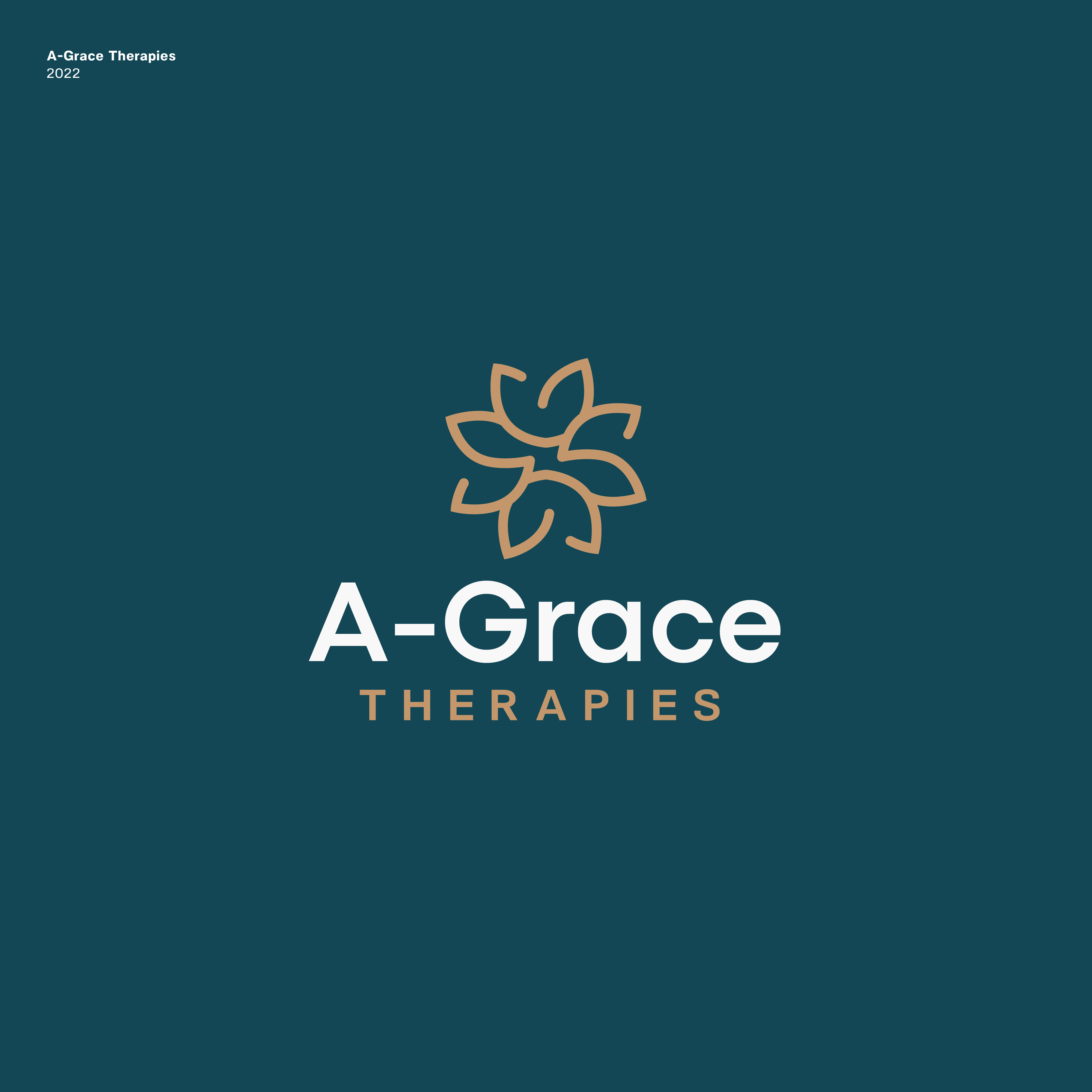 Design de Logo par JBalloon Design pour ce projet | Design #28327815