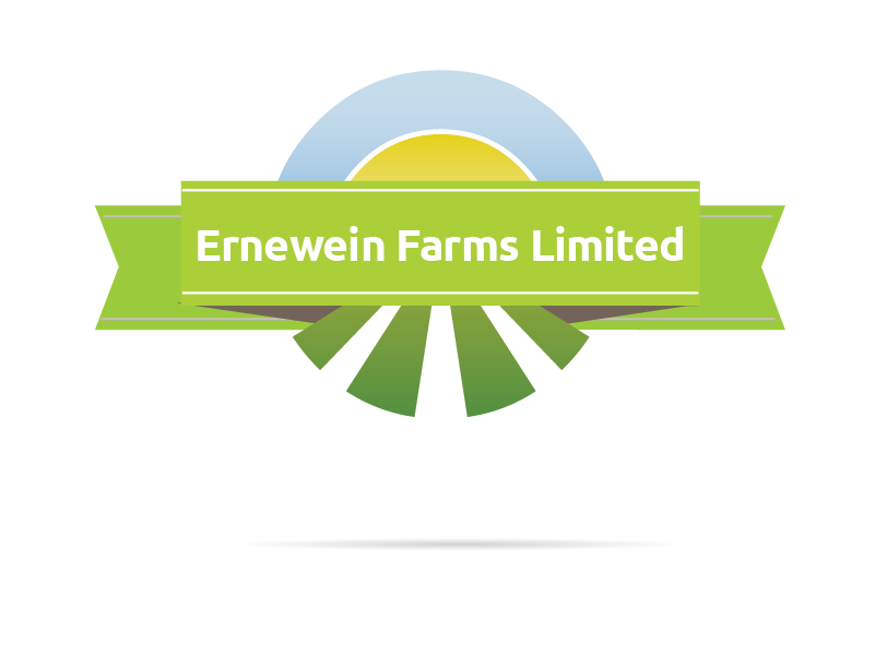 Logo Design by shimo for this project | Design #6370663