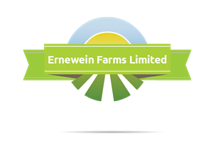 Logo Design by shimo