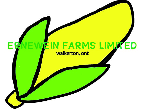 Logo Design by squaresandcircles for this project | Design #3098986