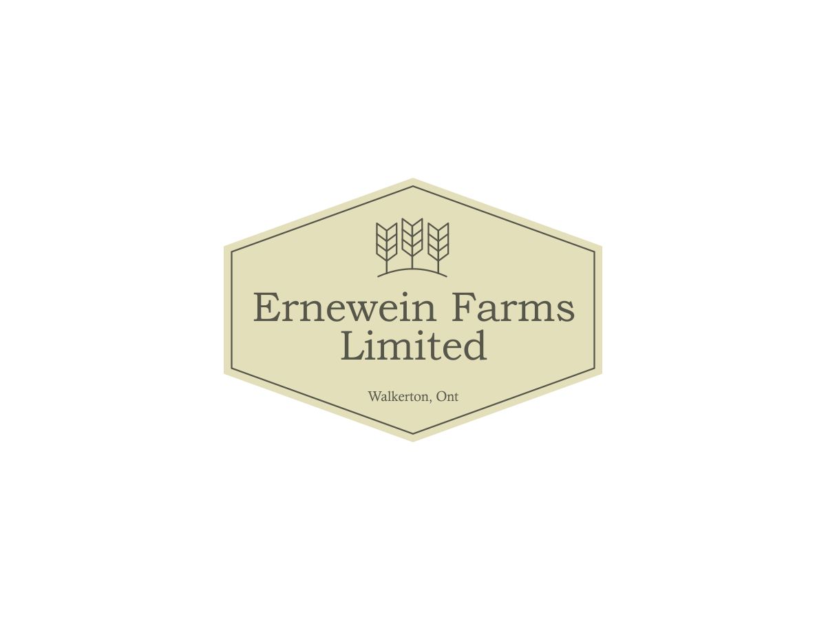 Logo Design by AyStudio for this project | Design #3286582
