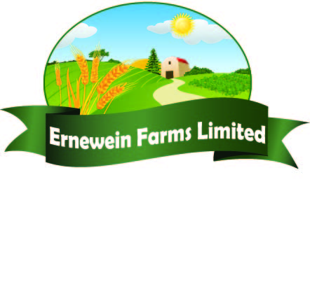 Logo Design by digianim for this project | Design #3093651