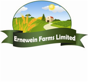 Logo Design by digianim for this project | Design: #3093651