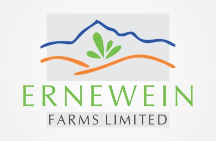 Logo Design by digianim for this project | Design #3104743