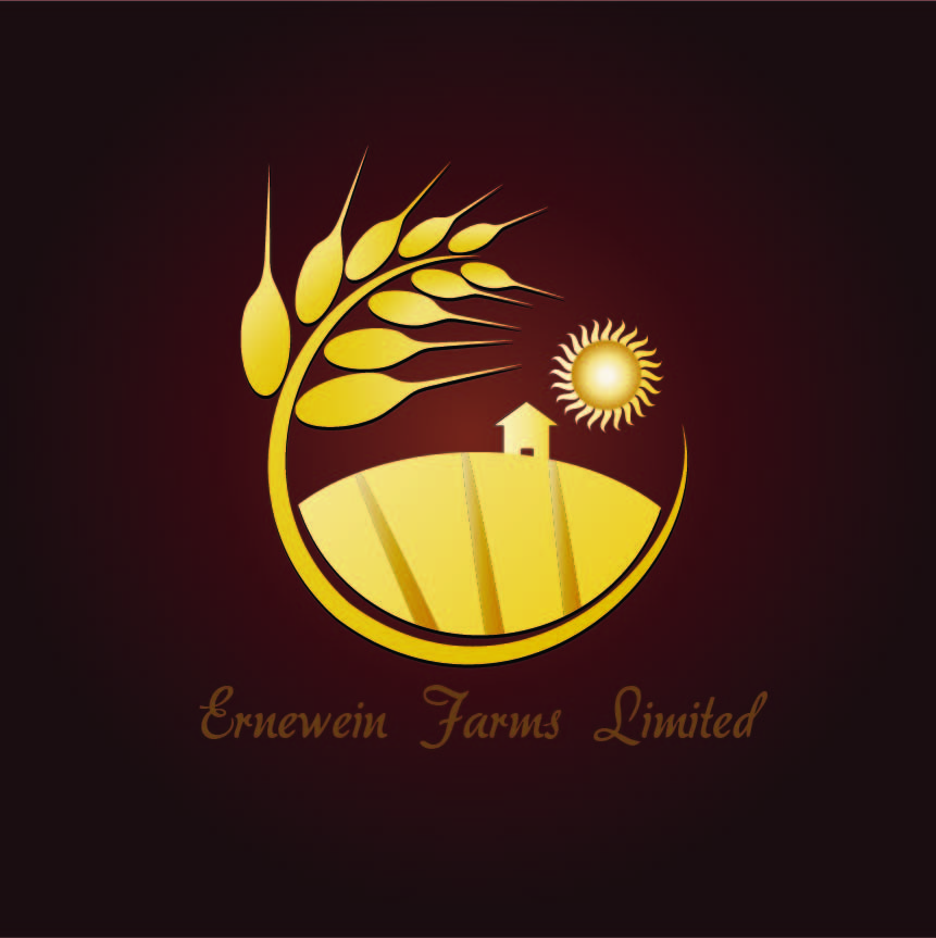 Logo Design by digianim for this project | Design #3107745