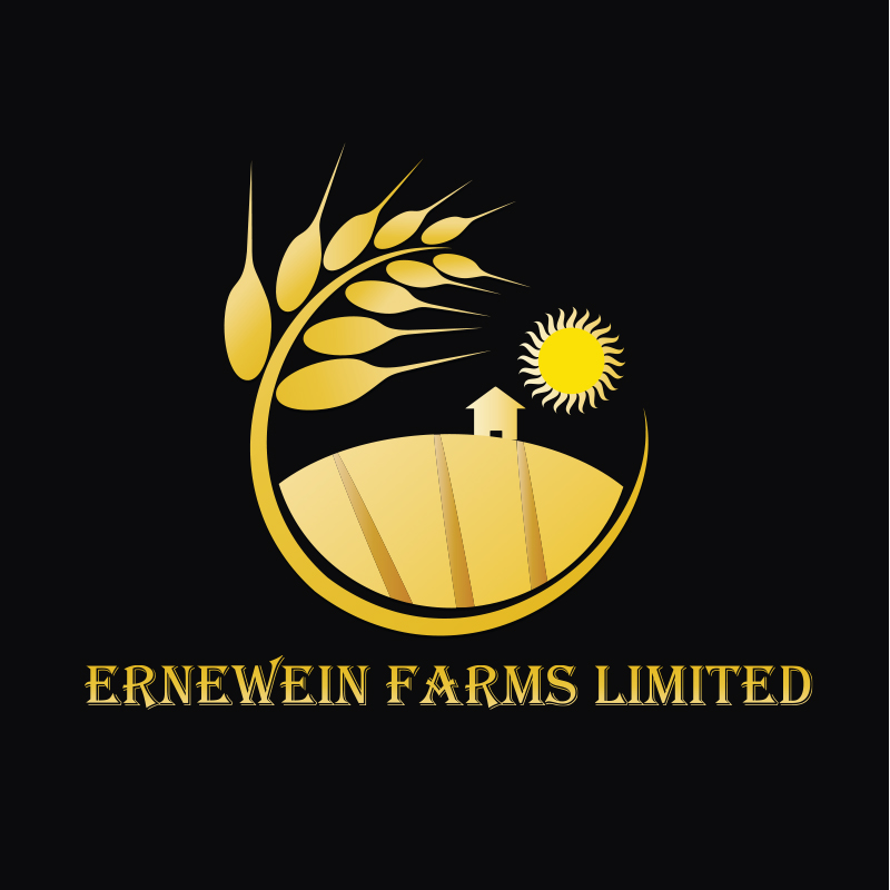 Logo Design by digianim for this project | Design #3112355