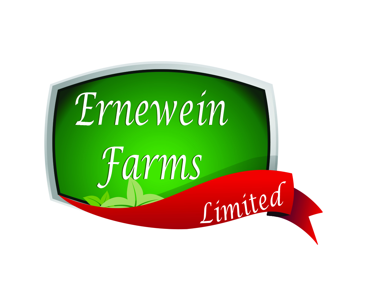 Logo Design by digianim for this project | Design #3234020