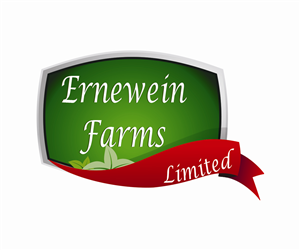 Logo Design by digianim for this project | Design: #3234020