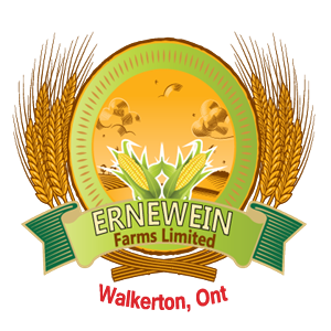 Logo Design by grapestudio for this project | Design: #3093959