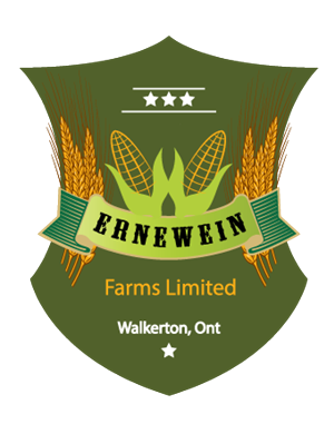 Logo Design by grapestudio for this project | Design: #3098417
