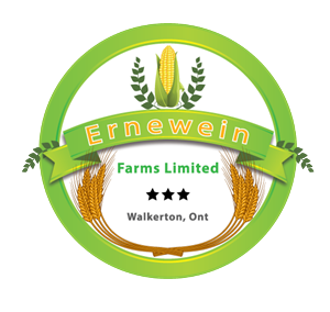 Logo Design by grapestudio for this project | Design: #3098568