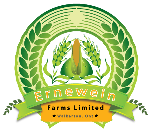 Logo Design by grapestudio for this project | Design #3099051