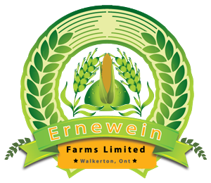 Logo Design by grapestudio for this project | Design: #3099051