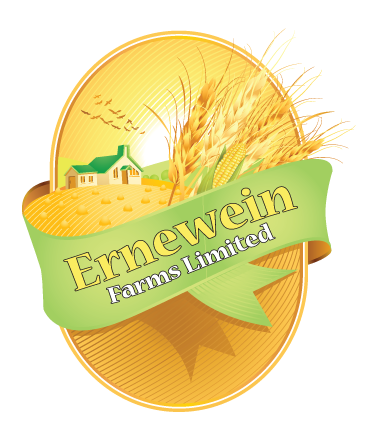 Logo Design by grapestudio for this project | Design #3099321