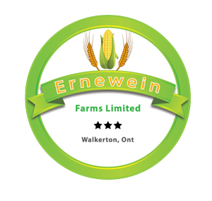 Logo Design by grapestudio for this project | Design: #3103386