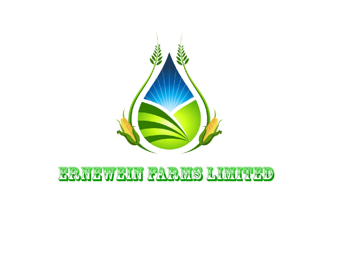 Logo Design by vuk99 for this project | Design #3270443